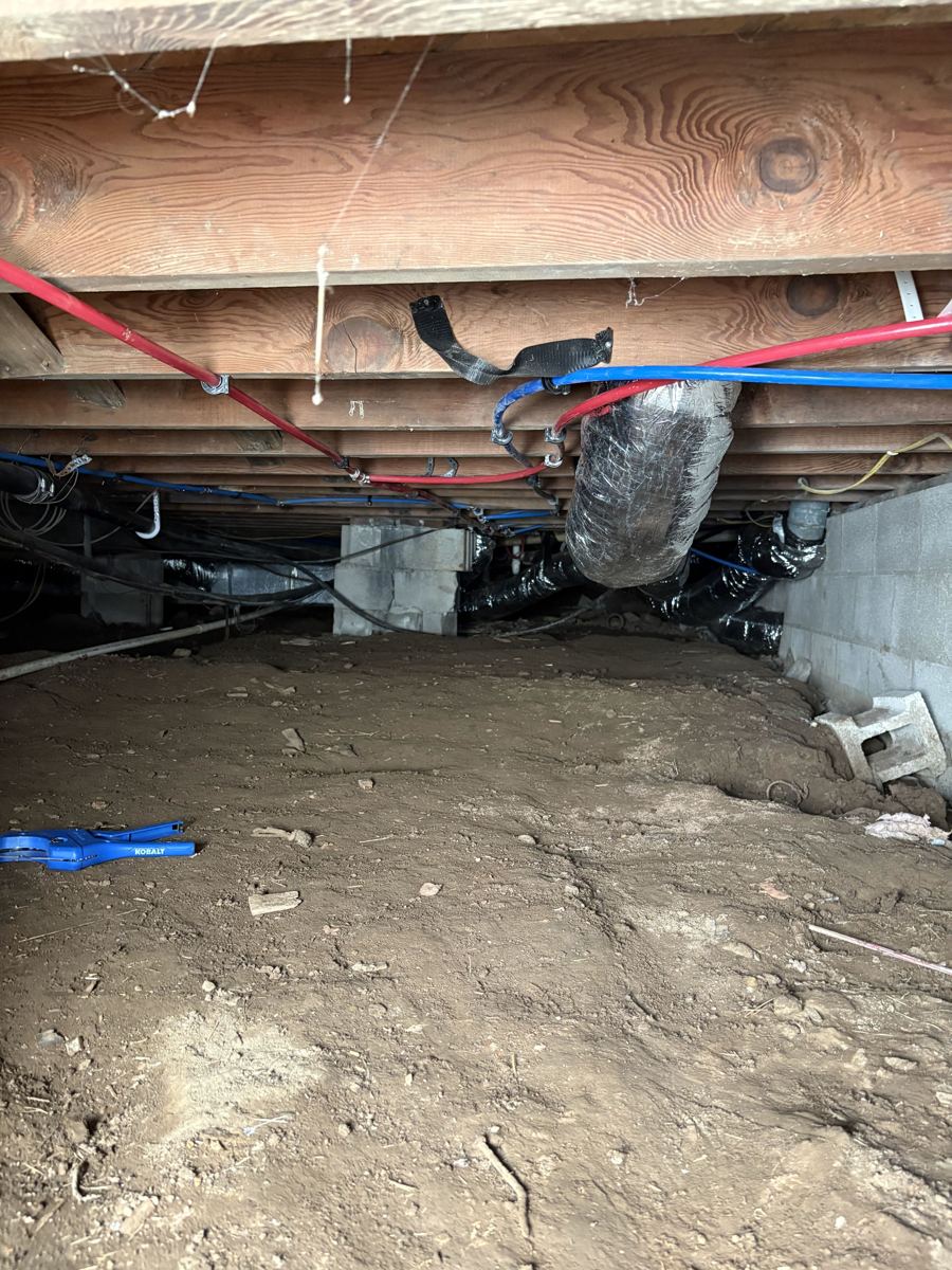 New red and blue PEX water lines run through a crawlspace during a galvanized-to-PEX repipe in Wilmore, KY